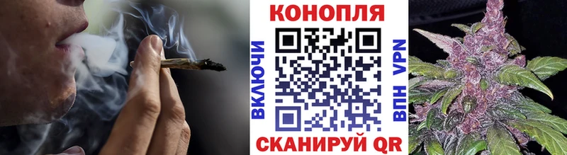 omg маркетплейс  что такое наркотик  Талдом  Марихуана Ganja 